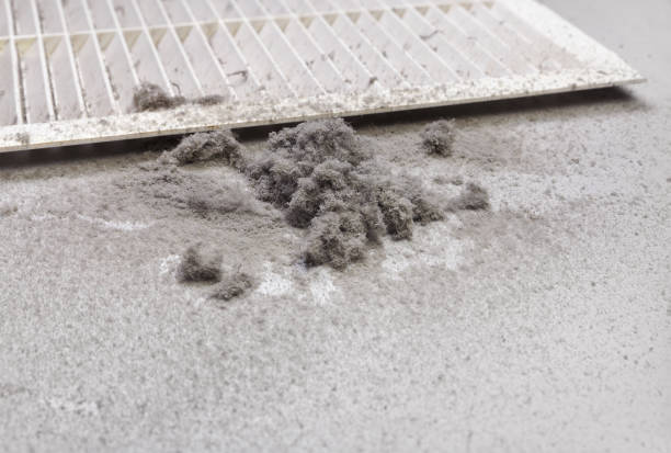 Best Best Air Duct Cleaning Company  in Port Charlotte, FL