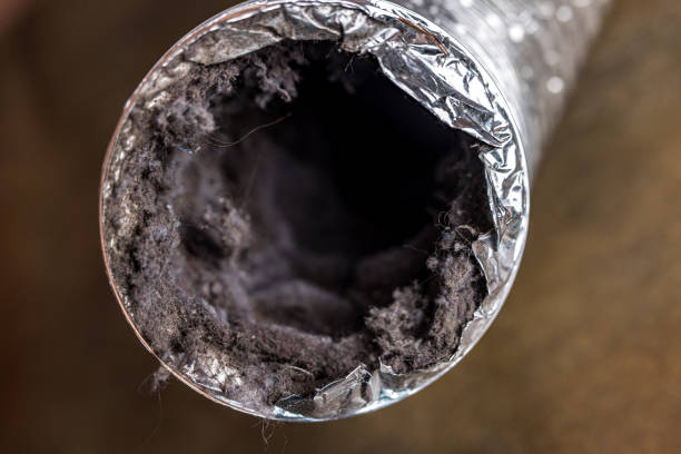 Best Affordable HVAC Duct Cleaning  in Port Charlotte, FL